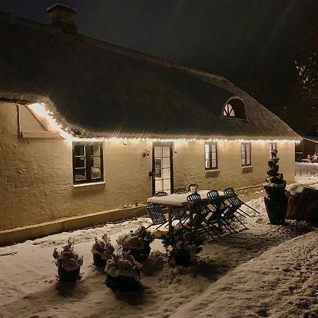 Mindedalen - Idyl Taet Pa Alt Og Helt I Fred Lejlighed Billum Eksteriør billede