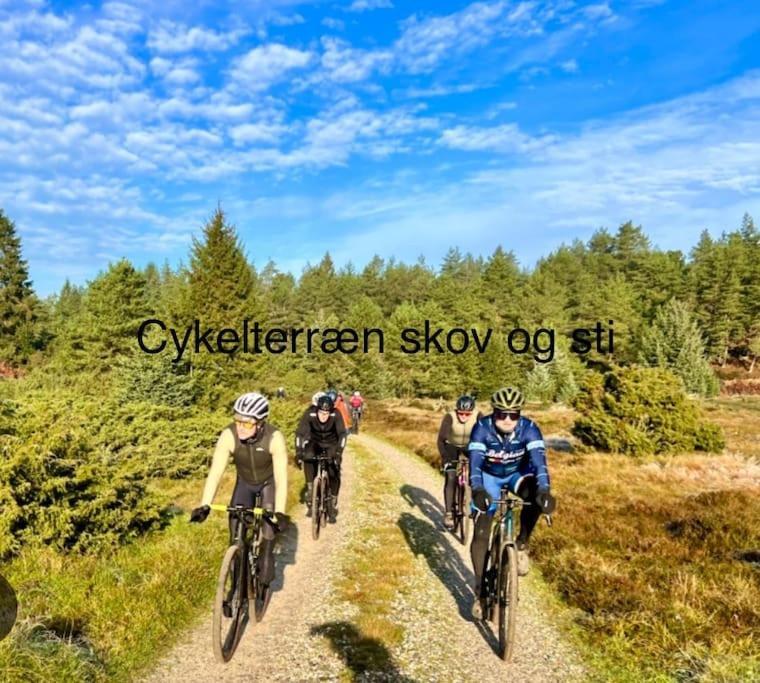 Mindedalen - Idyl Taet Pa Alt Og Helt I Fred Lejlighed Billum Eksteriør billede