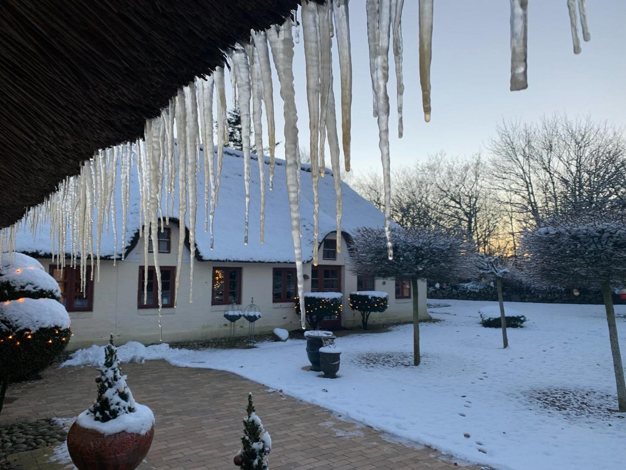 Mindedalen - Idyl Taet Pa Alt Og Helt I Fred Lejlighed Billum Eksteriør billede