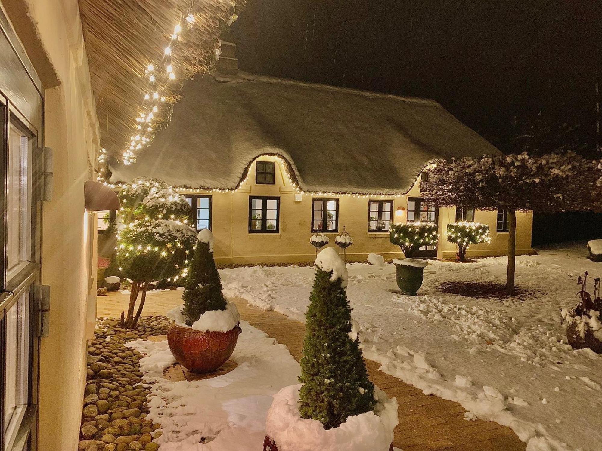Mindedalen - Idyl Taet Pa Alt Og Helt I Fred Lejlighed Billum Eksteriør billede