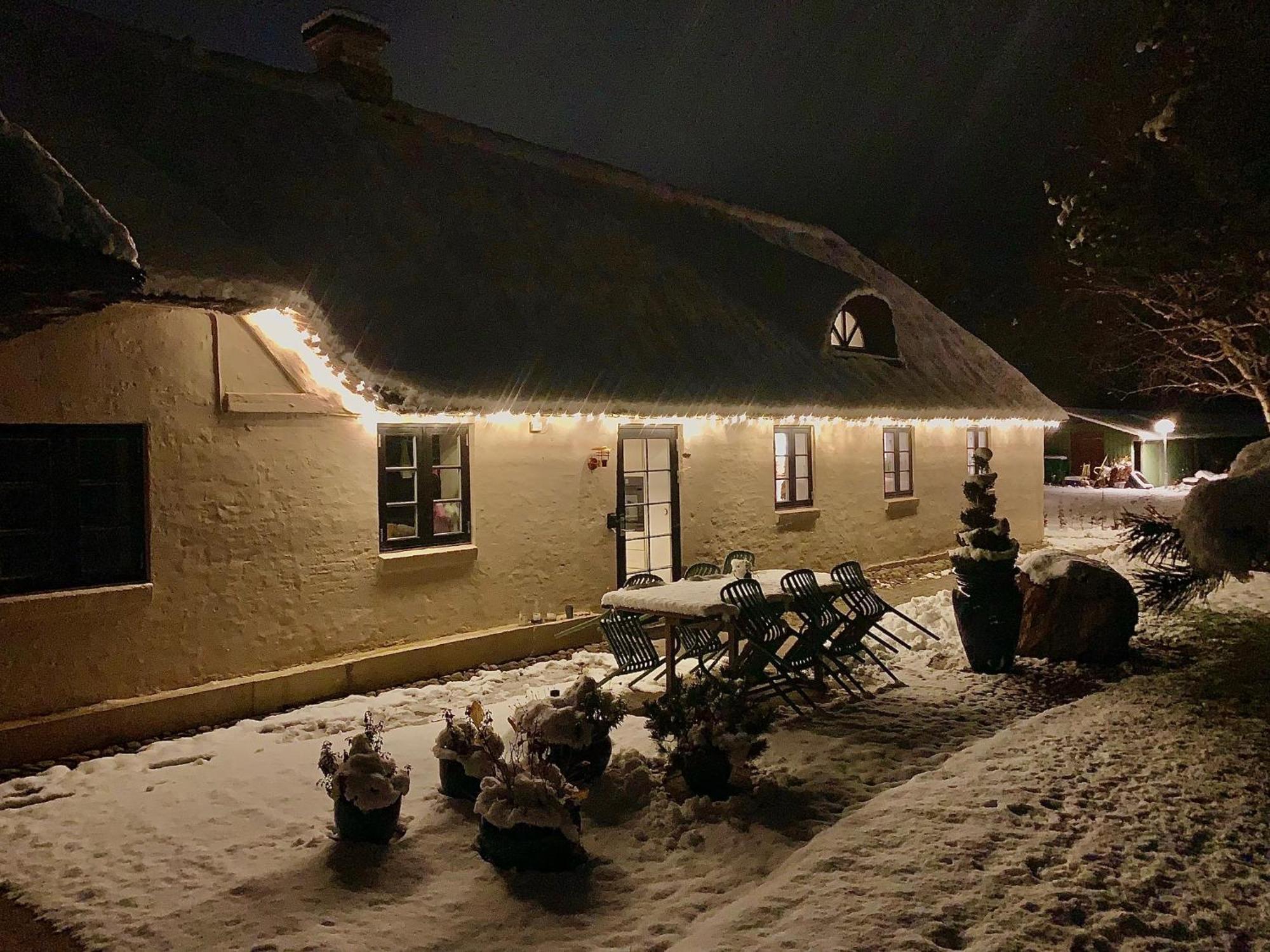 Mindedalen - Idyl Taet Pa Alt Og Helt I Fred Lejlighed Billum Eksteriør billede