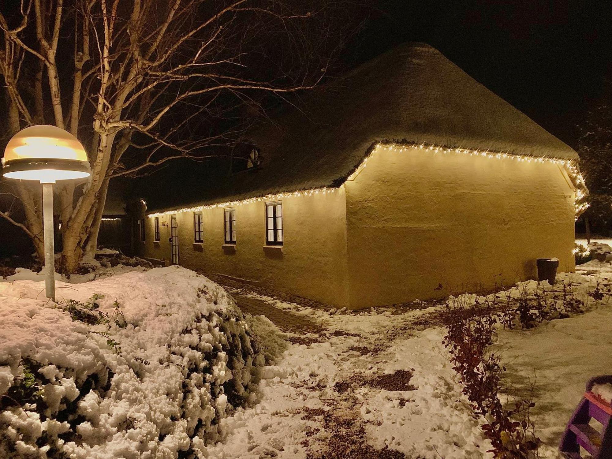 Mindedalen - Idyl Taet Pa Alt Og Helt I Fred Lejlighed Billum Eksteriør billede