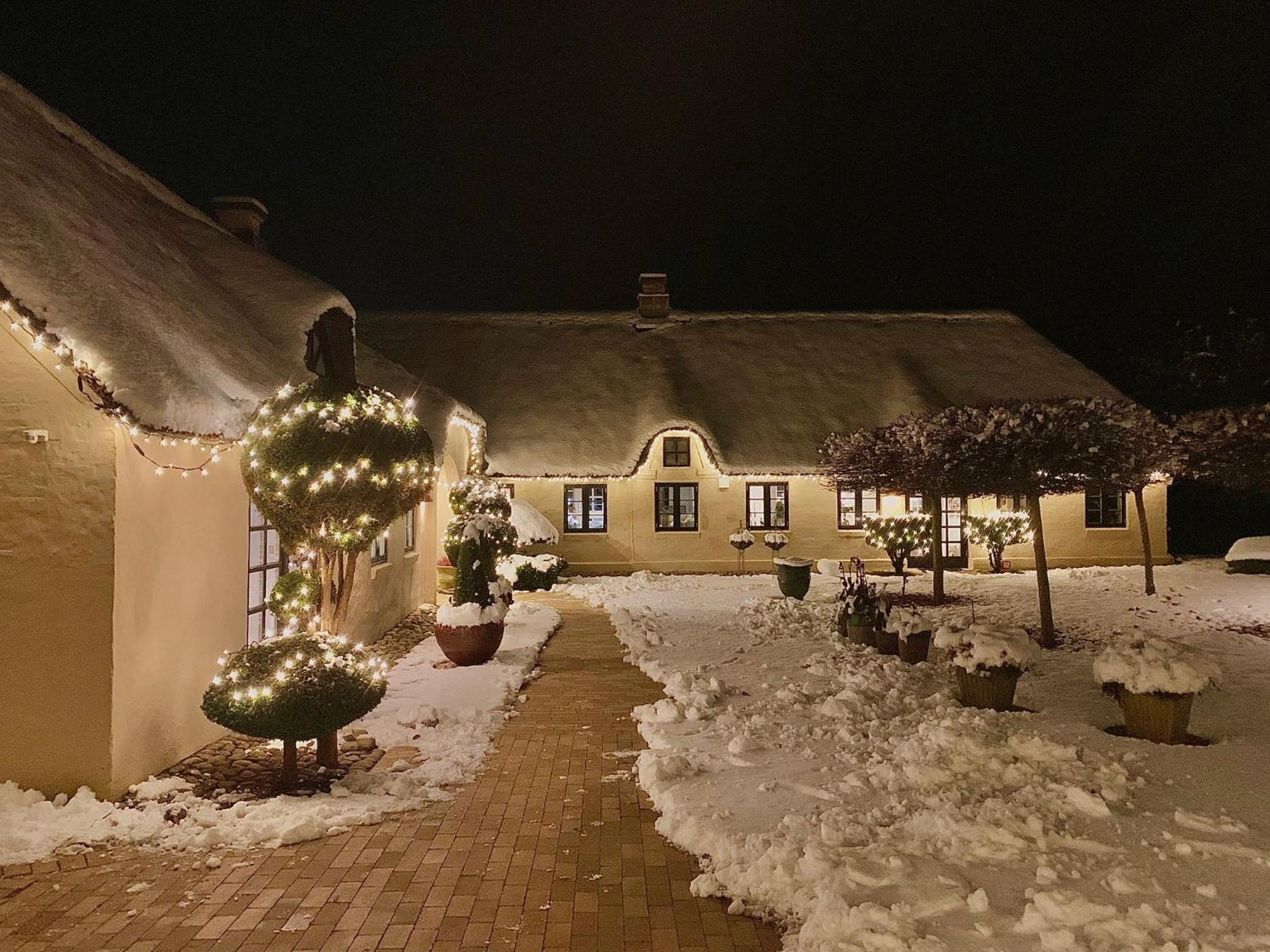 Mindedalen - Idyl Taet Pa Alt Og Helt I Fred Lejlighed Billum Eksteriør billede